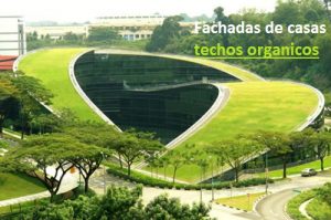 Techos organicos o verdes para fachadas de casas